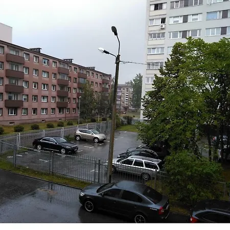 Martinmaja